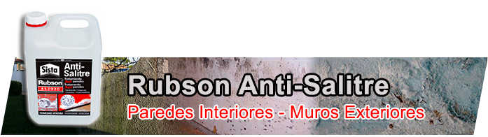 Rubson Anti-Salitre AS 2930